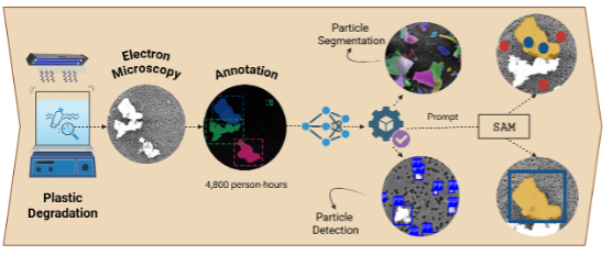 SEM image for microplastics and nanoplastics detection