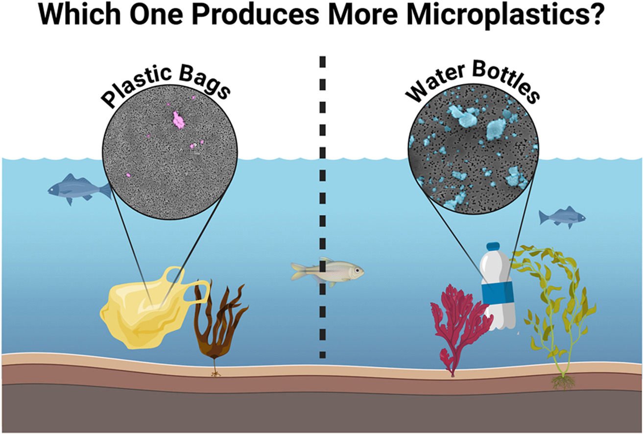 Analysis image for the microplastics and nanoplastics paper